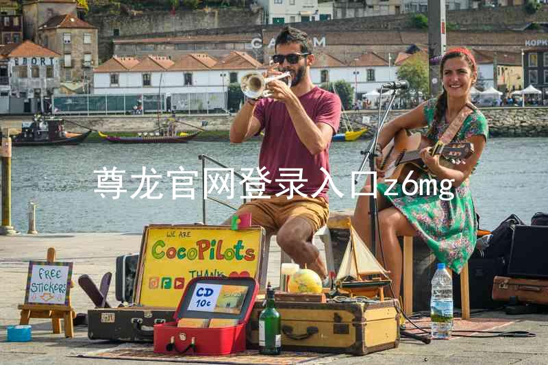 尊龙官网登录入口z6mg