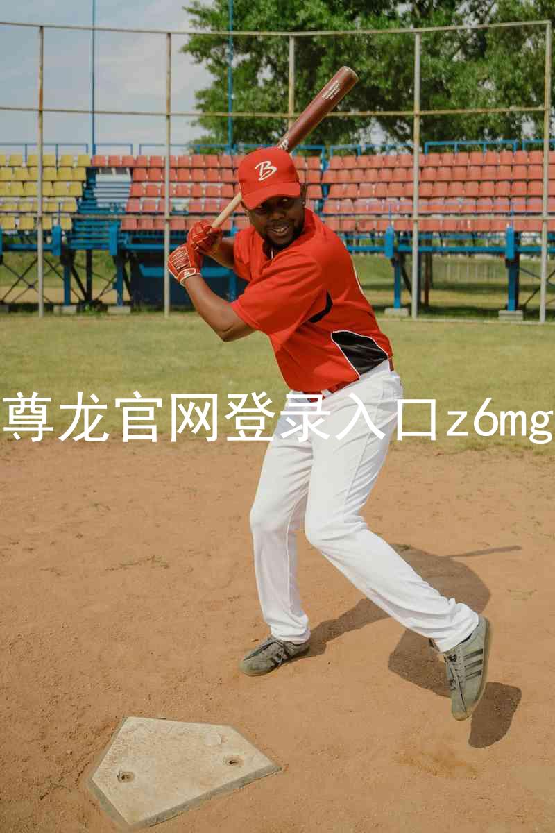 尊龙官网登录入口z6mg