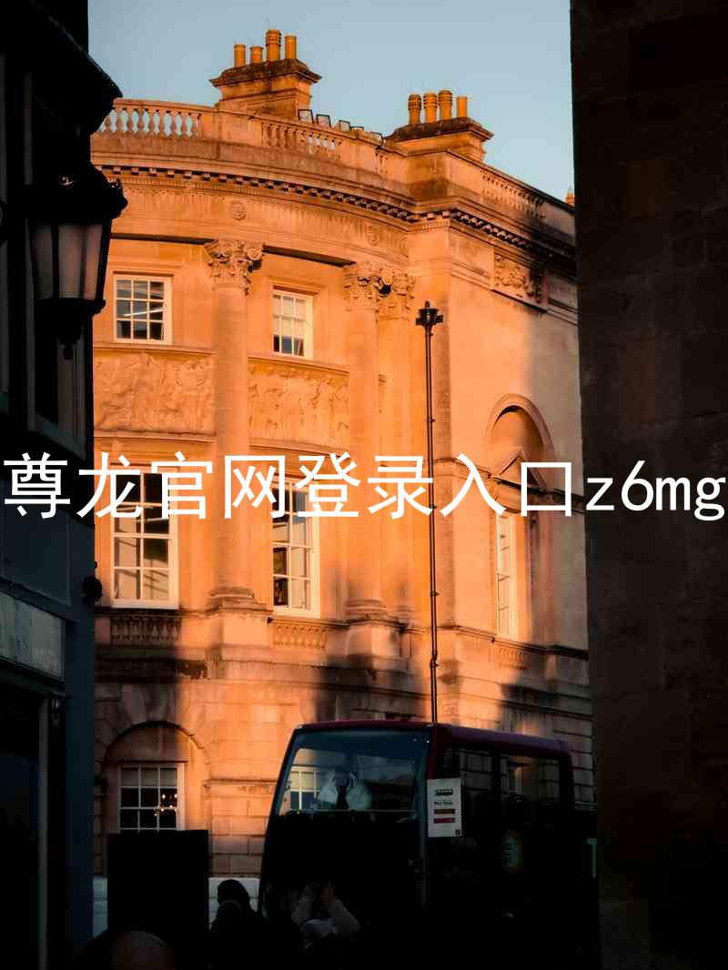尊龙官网登录入口z6mg