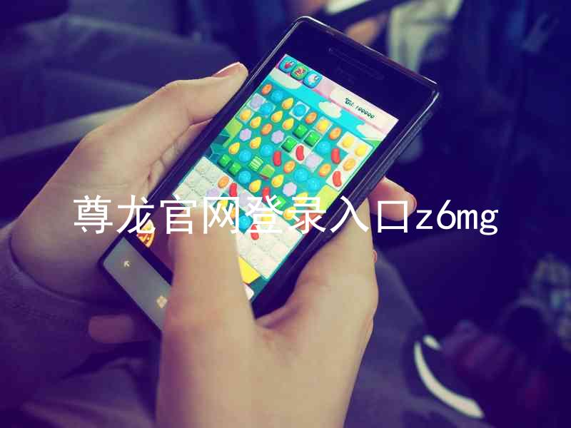 尊龙官网登录入口z6mg